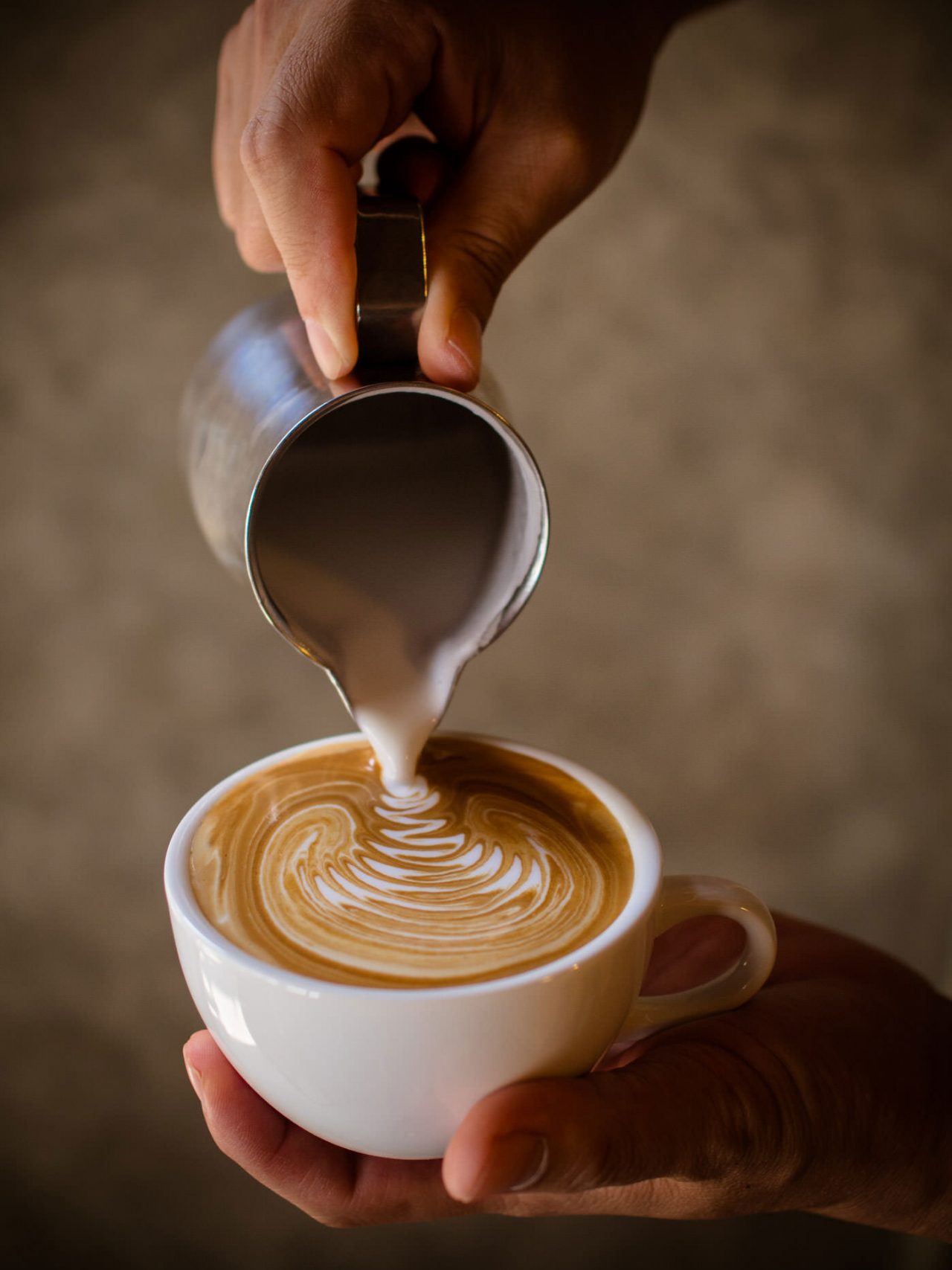 gastro-cafe-theme-11