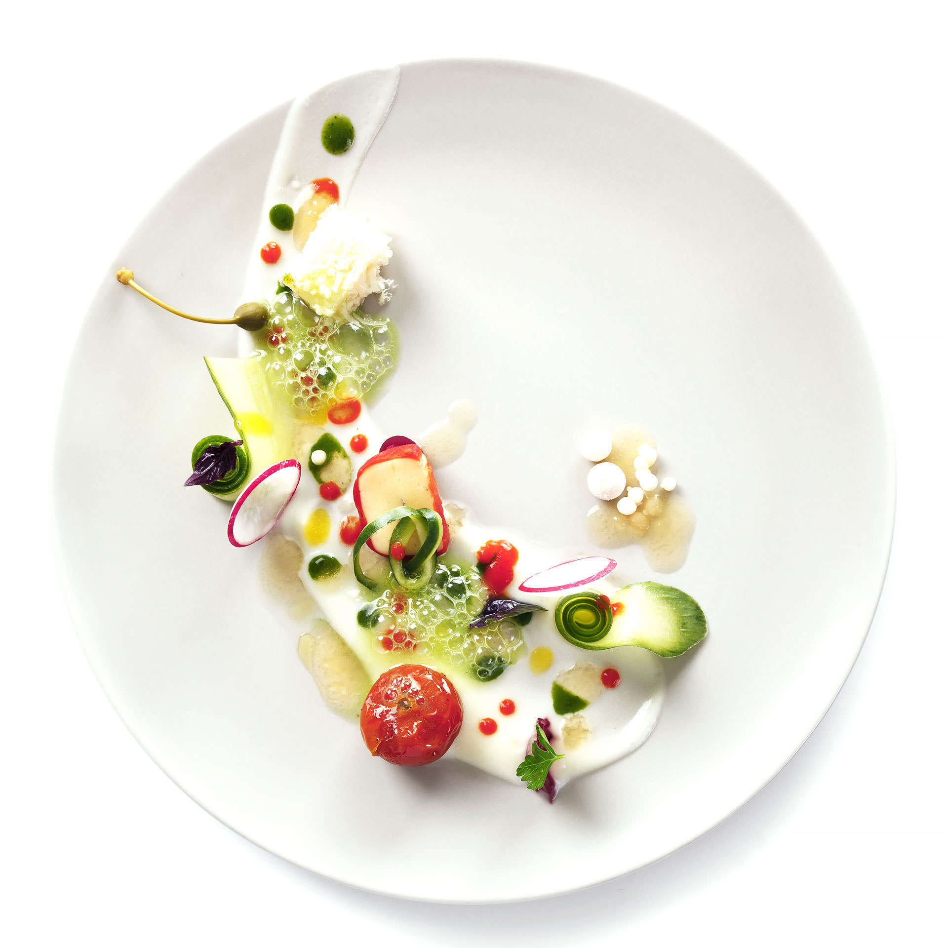 gastro-theme-23