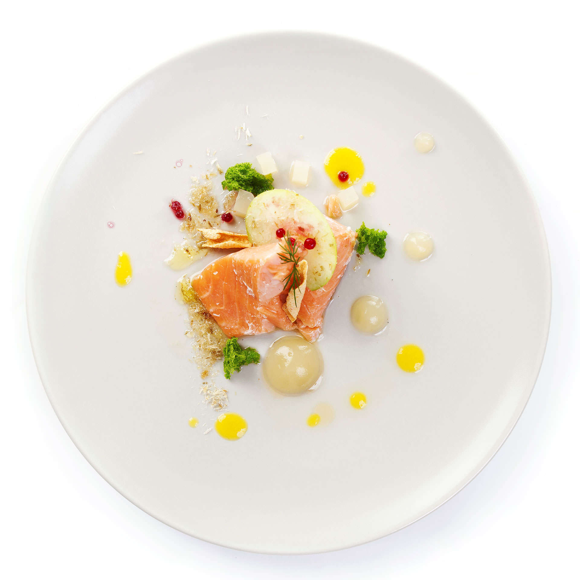 gastro-theme-25