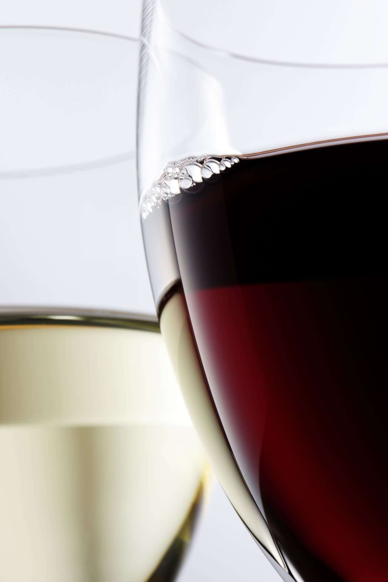 gastro-theme-46