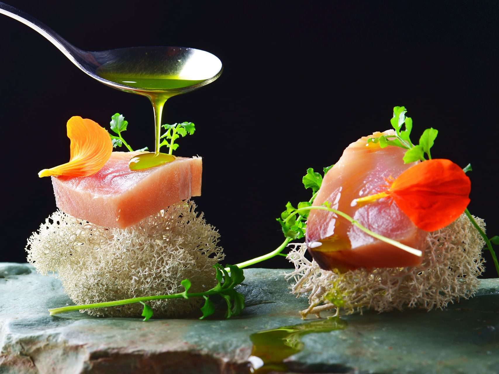 gastro-theme-13