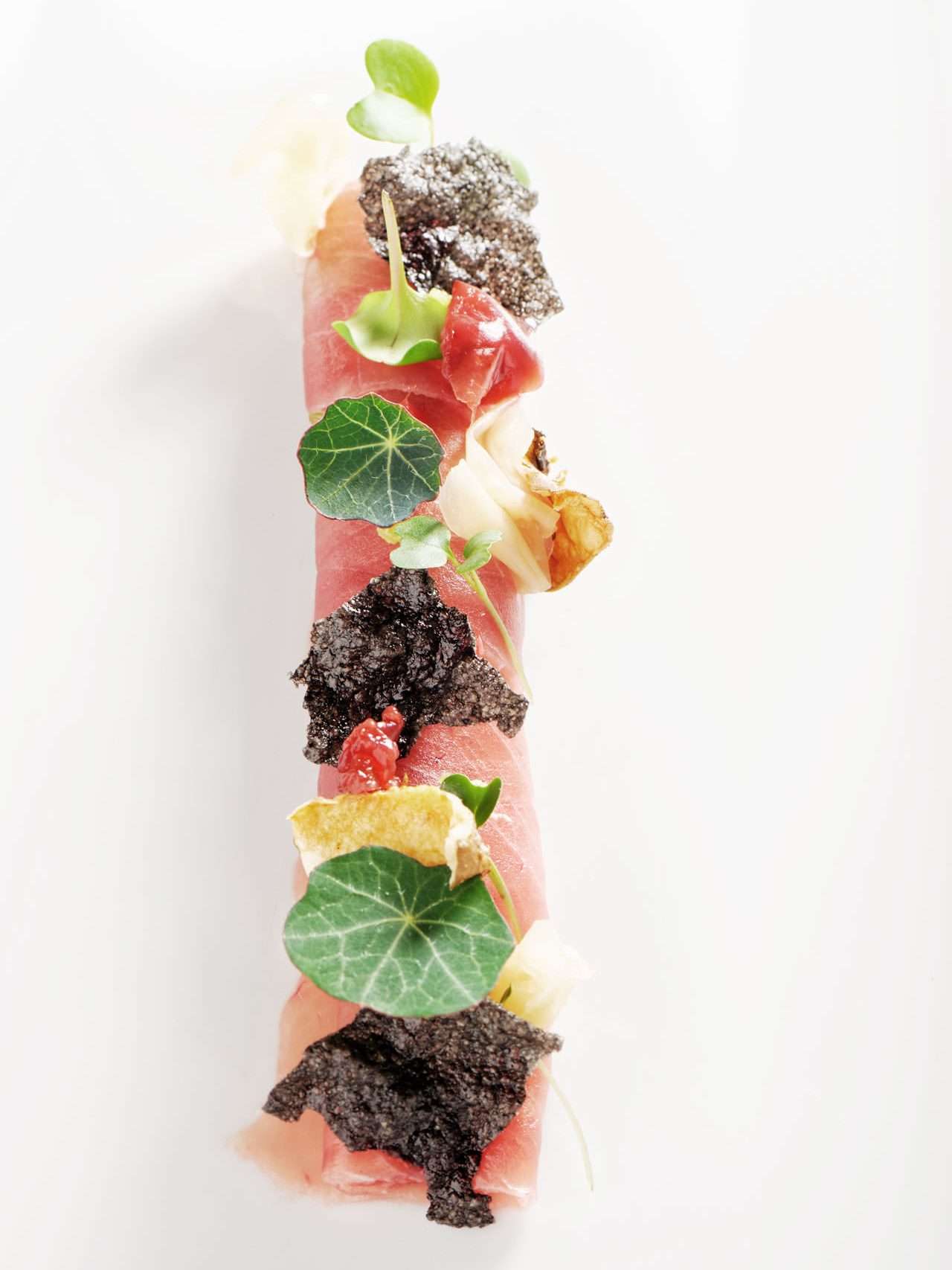 gastro-theme-20