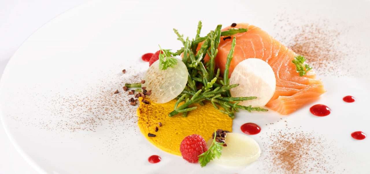 gastro-theme-40