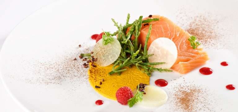 gastro-theme-40