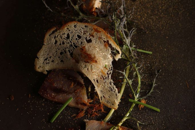 gastro-theme-48