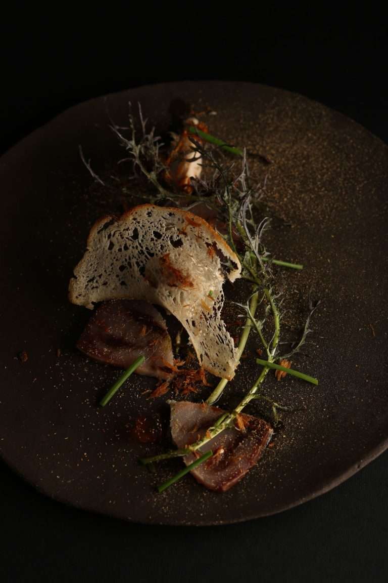 gastro-theme-48