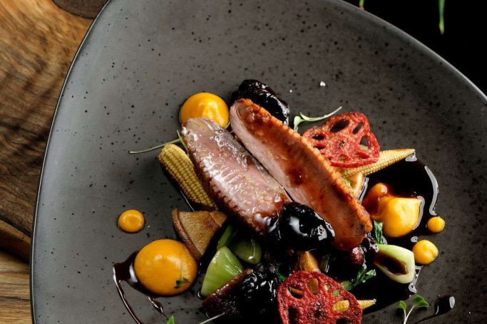 gastro-theme-50