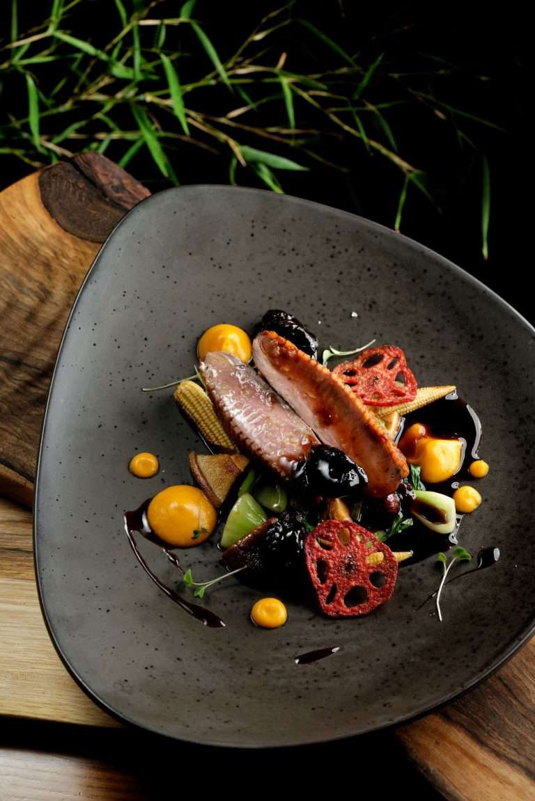 gastro-theme-50
