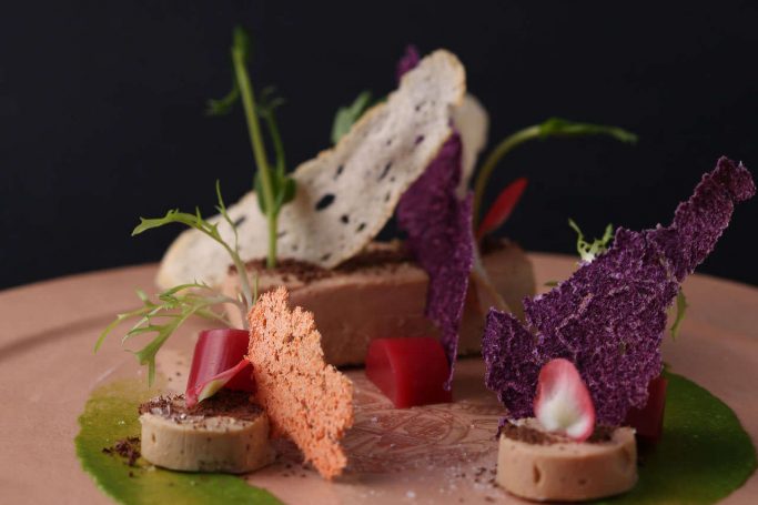 gastro-theme-51