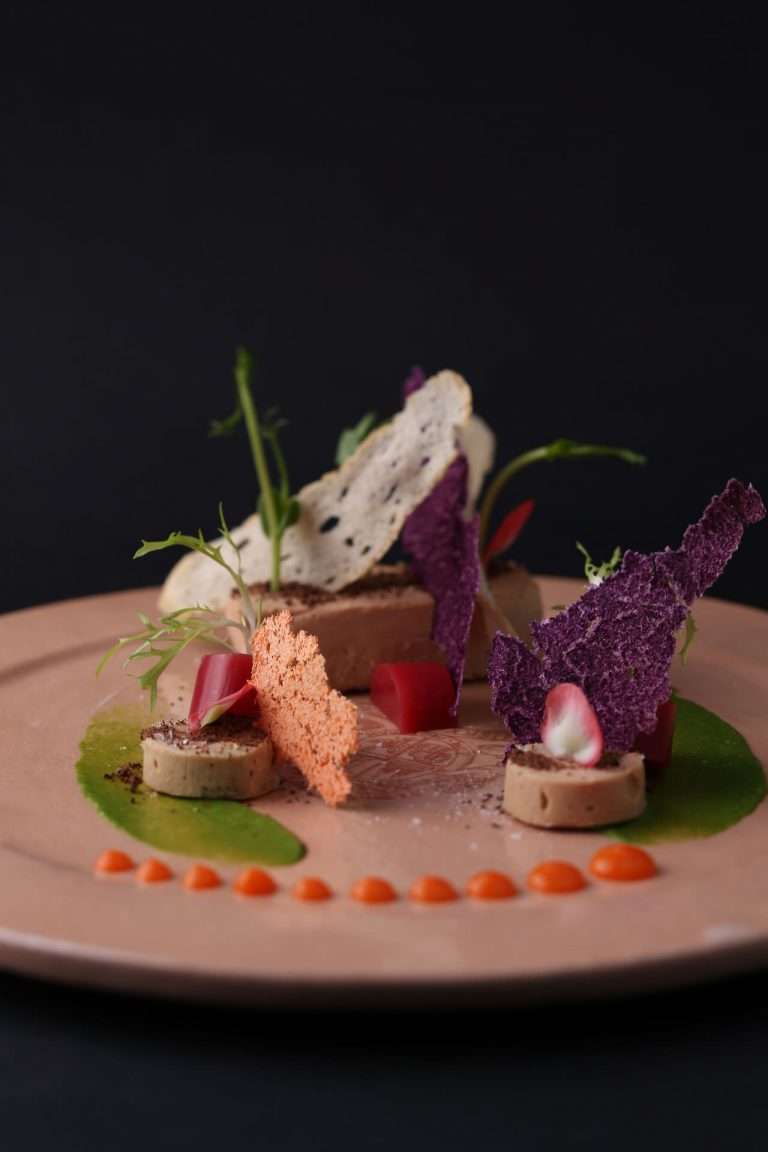 gastro-theme-51