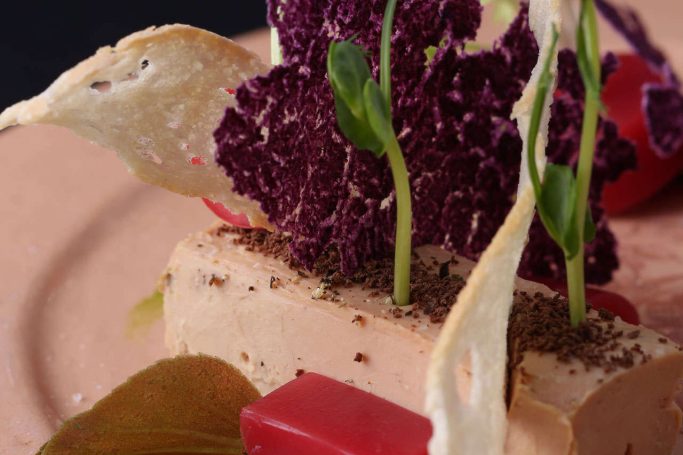 gastro-theme-52
