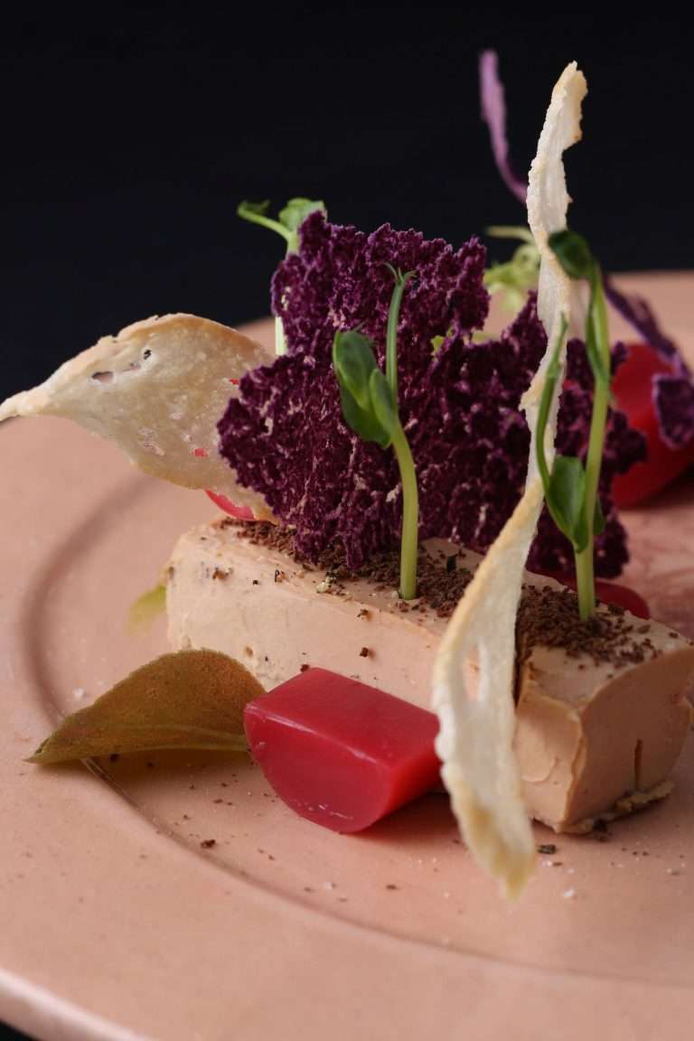 gastro-theme-52