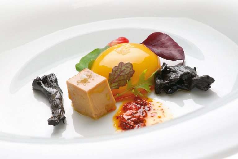 gastro-theme-53