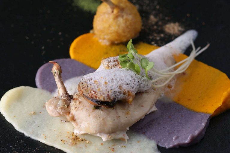 gastro-theme-57