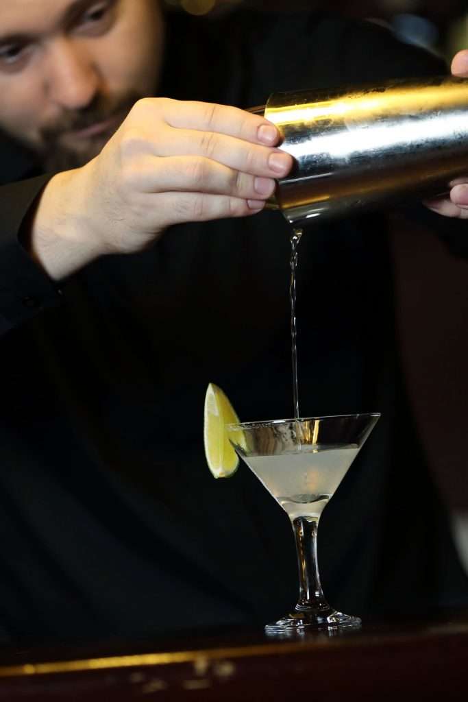 gastro-theme-65