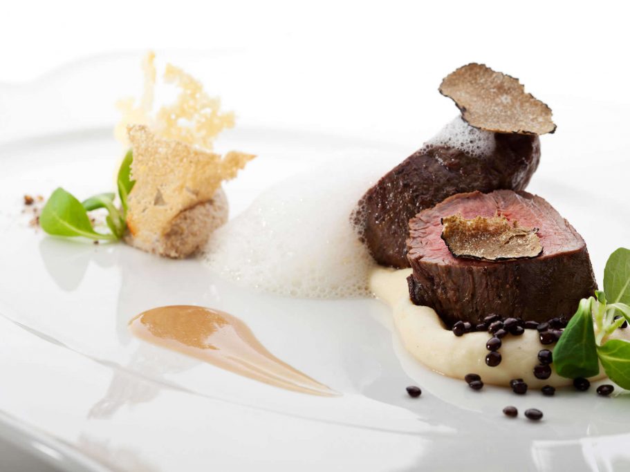 gastro-theme-87